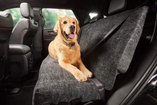 PetBoss seat shield cover with a Golden Retriever dog sitting in the backseat.